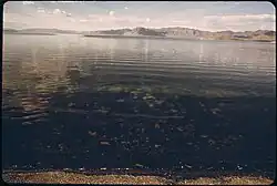 Blick direkt ans Ufer. Unter Wasser sind Algen zu sehen (Foto vom Mai 1973).