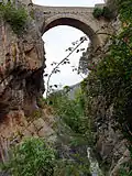 Puente Madre de Dios