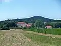 Weinbau im „Massif d’Uchaux“; im Hintergrund das Schloss Saint Estève