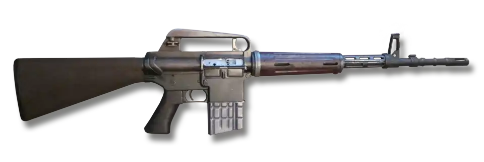 AR-10