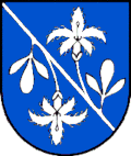 Historisches Wappen von Pichl-Kainisch