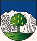 … auf grünem Boden (1) … (Wals-Siezenheim AT)