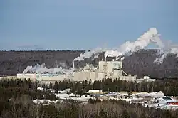 Papierfabrik in Nackawic