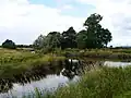 Einmündung des Gryfe Water