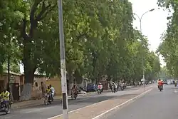 Eine Straße in Maroua