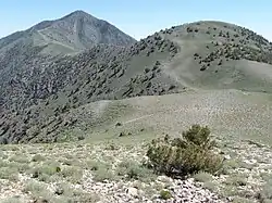 Panamint Range, Telescope Peak