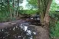 Brücke der Straße In der Stiege von Alhausen nach Bad Driburg. Obwohl die Aa zu diesem Zeitpunkt unterhalb Reelsens oberflächlich versiegt war und auch der Rautebach trocken lag, fließt hier wieder Wasser. Blick stromabwärts. (5. August 2011)