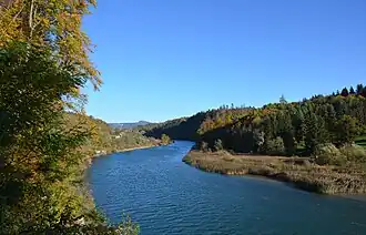 Die Aare bei Unterdettigen, kurz vor dem Wohlensee