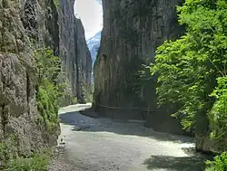 Aareschlucht