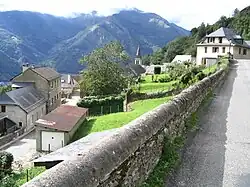 Aas