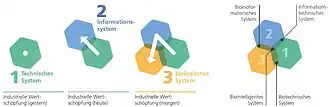 Die Entwicklungsmodi der Biologischen Transformation sind hier dargestellt.