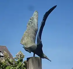 Duikvlucht