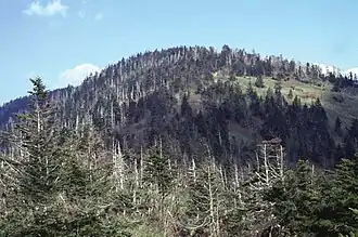 Kuwohi