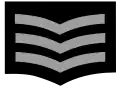 Hauptbrandmeister