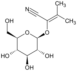 Strukturformel von Acacipetalin