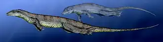 Acerosodontosaurus piveteaui