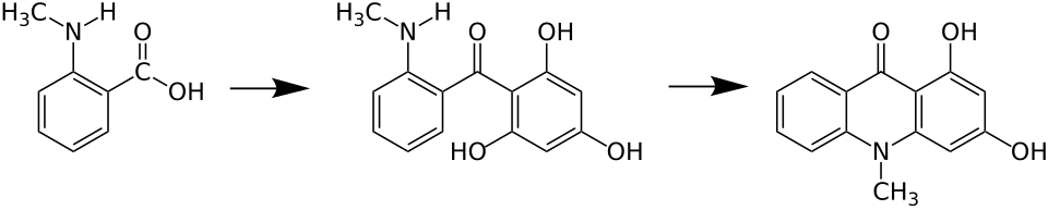 Biosynthese eines Acridonderivats