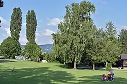 Baumgruppe