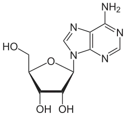 Adenosin
