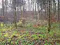 Quellgebiet mit leichter Anhöhe im Westen