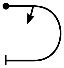 Abschwung