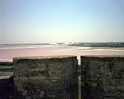 Saline bei Aigues-Mortes