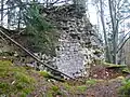 Burgruine Klamleiten: Turmrest