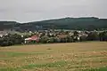 Albrechtitz
