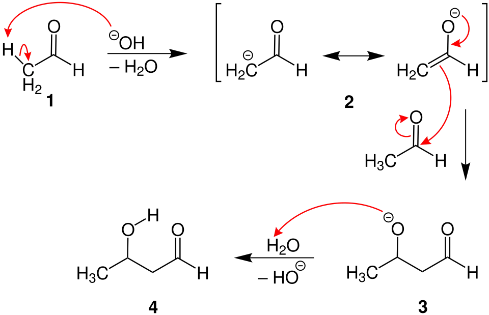 Additionsmechanismus basenkatalysiert