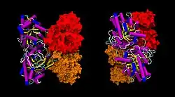 Aldolase
