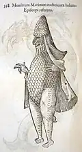 Darstellung von Ulisse Aldrovandi in Monstrorum historia (1642)