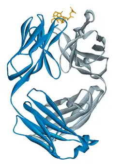 Alemtuzumab