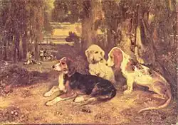 Jagdhunde