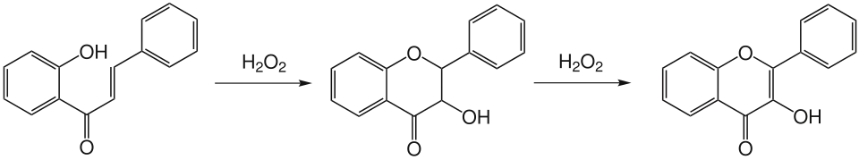 Bruttoreaktionsgleichung