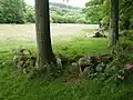 Allée couverte des Bonnes Dames
