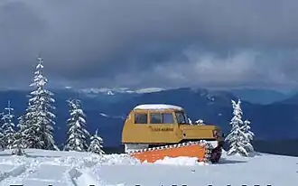 Modell 323 mit nur zwei Ketten