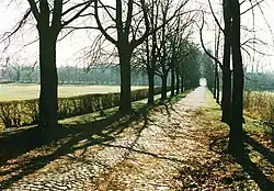Die Kastanienallee, Zufahrt zur Mühle