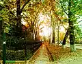 Allee in Schymkent