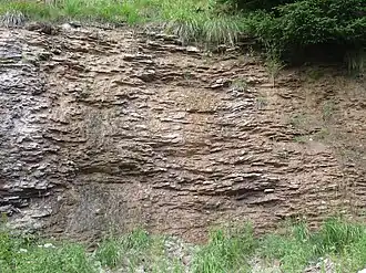 Allgäuschichten der Tannheimer Berge