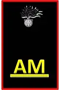 Dienstgradabzeichen Allievo Maresciallo, Maresciallo-Anwärter der Carabinieri