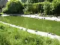 Kleiner Teich in der Parkanlage