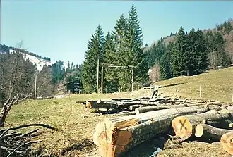 Blick zum Almagmach im Jahr 1990