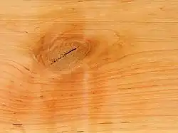 Holz der Schwarz-Erle
