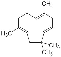 α-Caryophyllen