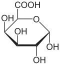 α-D-Galacturonsäure in Haworth-Schreibweise