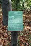 Waldlehrpfad