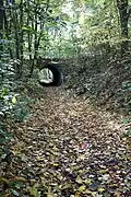 Der Hohlweg zur Trierer Straße wird in der Verlängerung zum „Klüttenweg“
