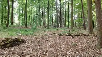 Reste der Alten Unger