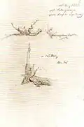 Caspar David Friedrich: Vom Blitz getroffene Weide, 1812
