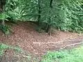 Der Wall im Ostbereich
